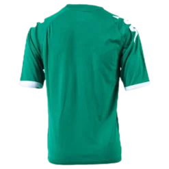 Junior Active Jersey SS Pavie 2017 Green