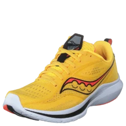 Kinvara 13 Vizigold/vizired