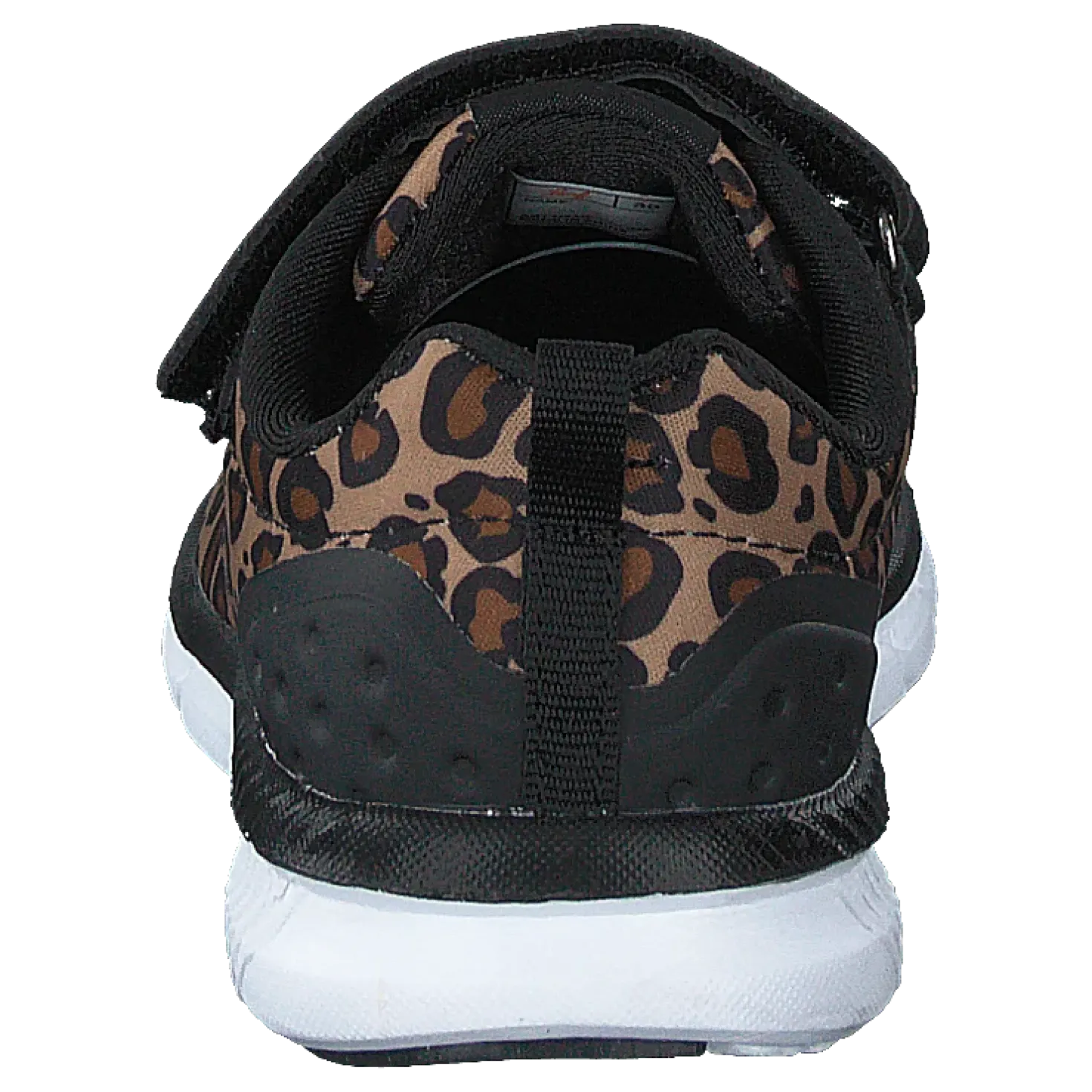 Kolima Leopard
