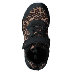 Kolima Leopard
