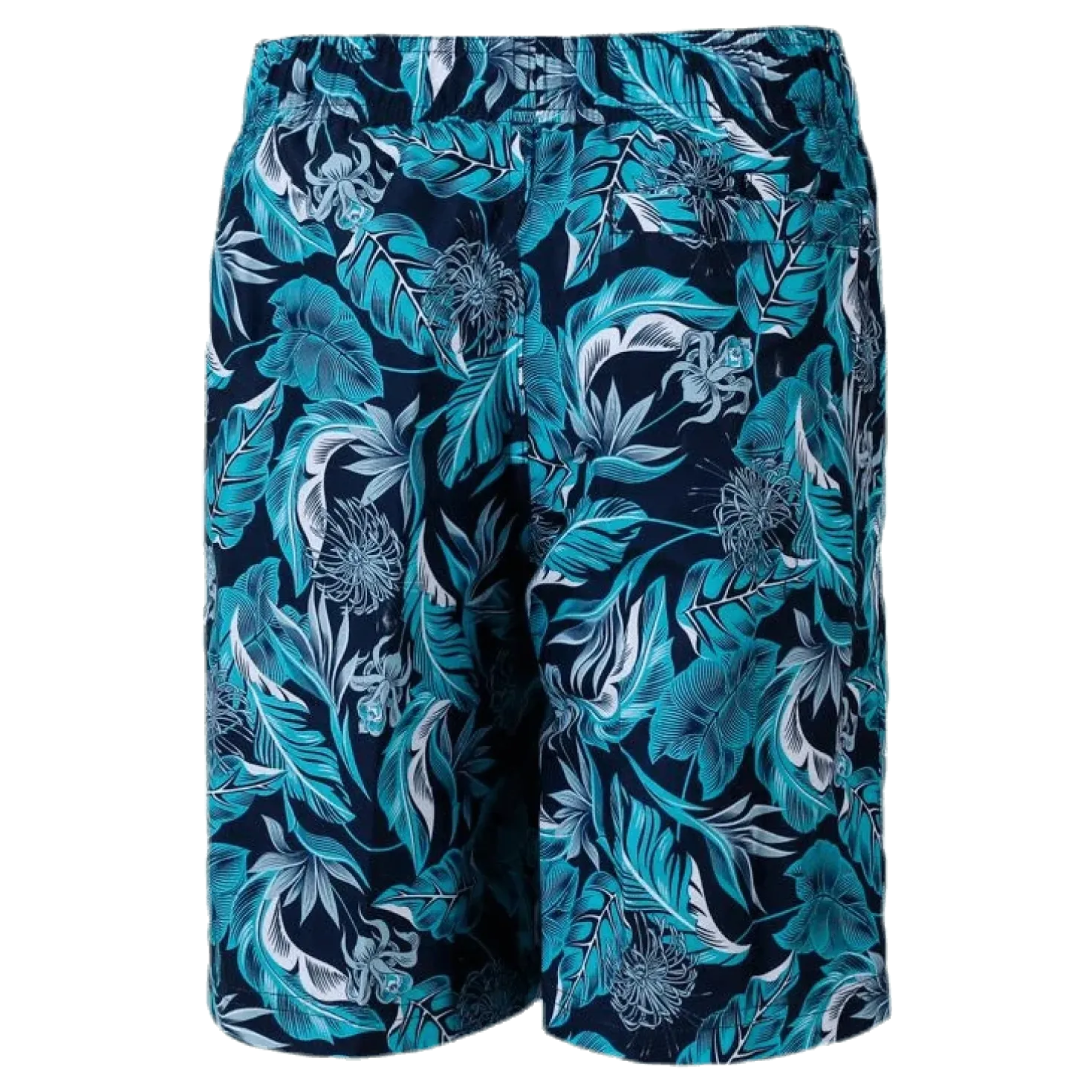 Lighteningbreak Leisure 17" Watershorts Junior Blue