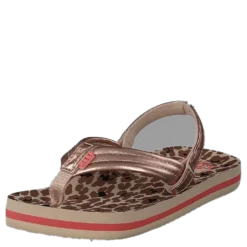 Little Ahi Cheetah