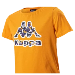 Logo Berk Orange