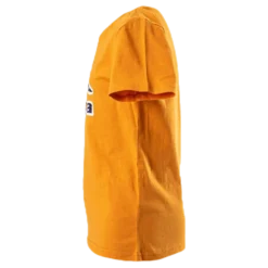 Logo Berk Orange