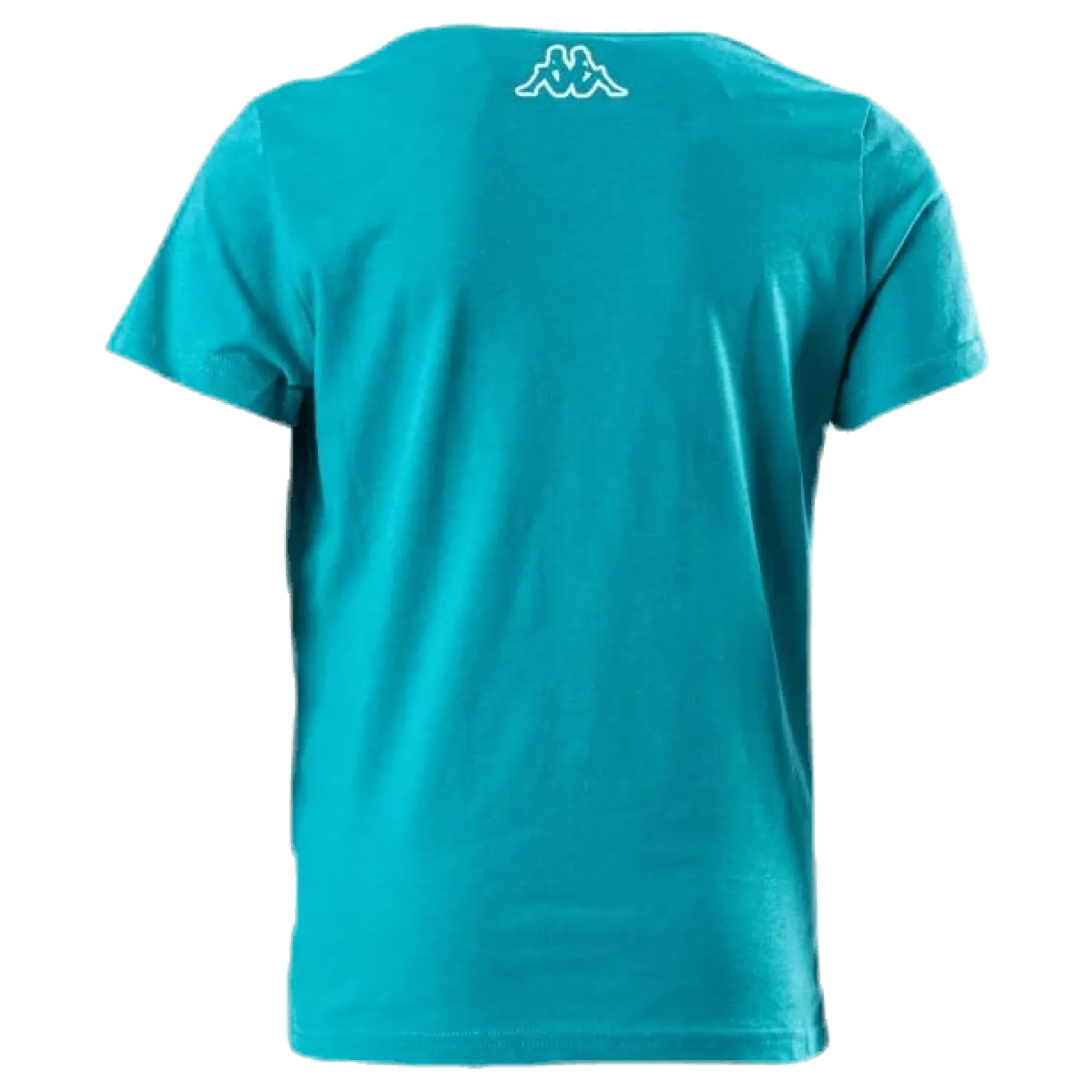 Logo Berk Turquoise