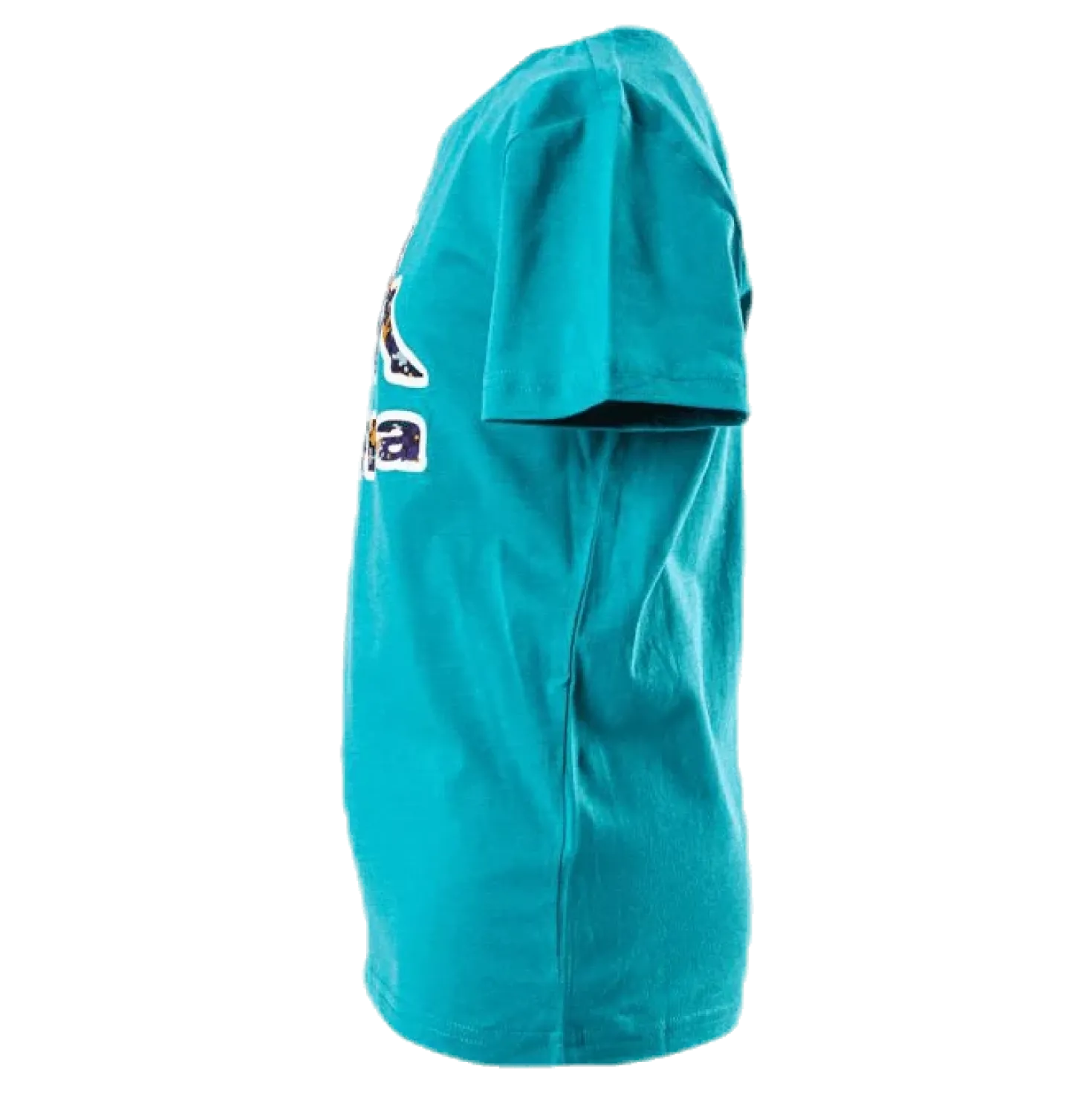 Logo Berk Turquoise