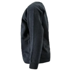 Logo Plutone Jr Blue