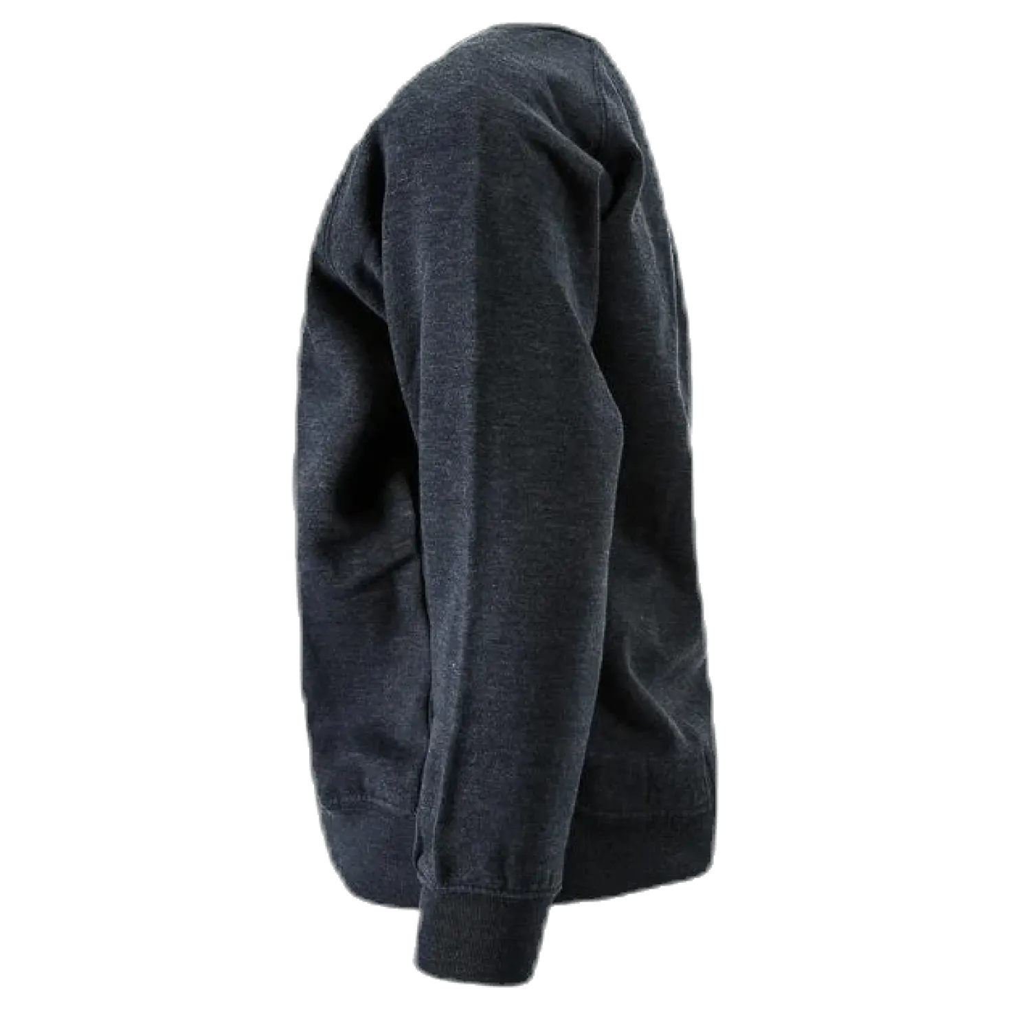 Logo Plutone Jr Blue