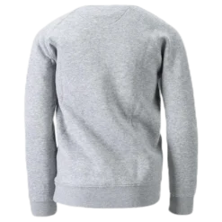 Logo Plutone Jr Grey
