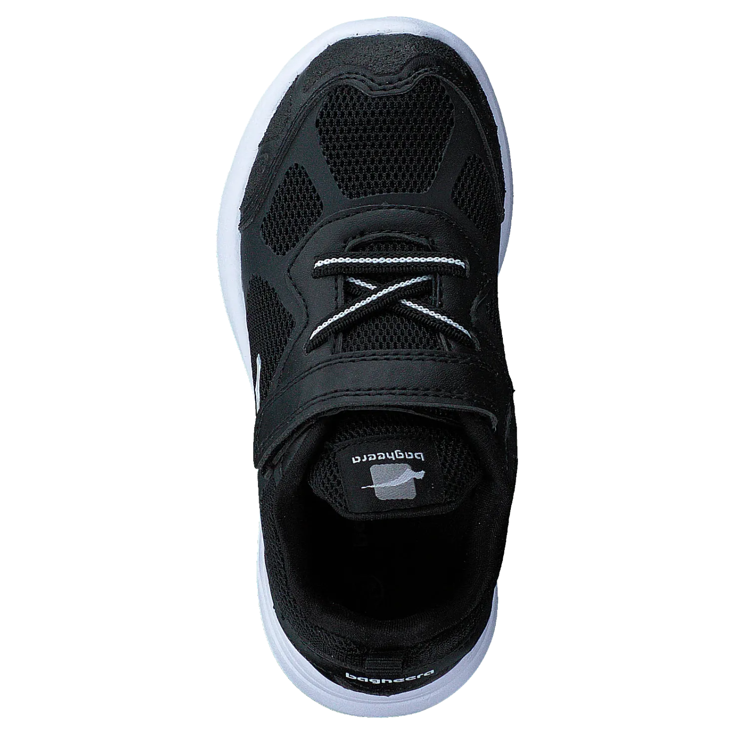 Moxie Black/white
