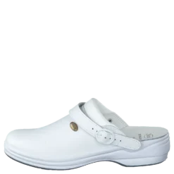 New Bonus White