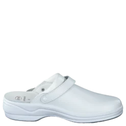 New Bonus White