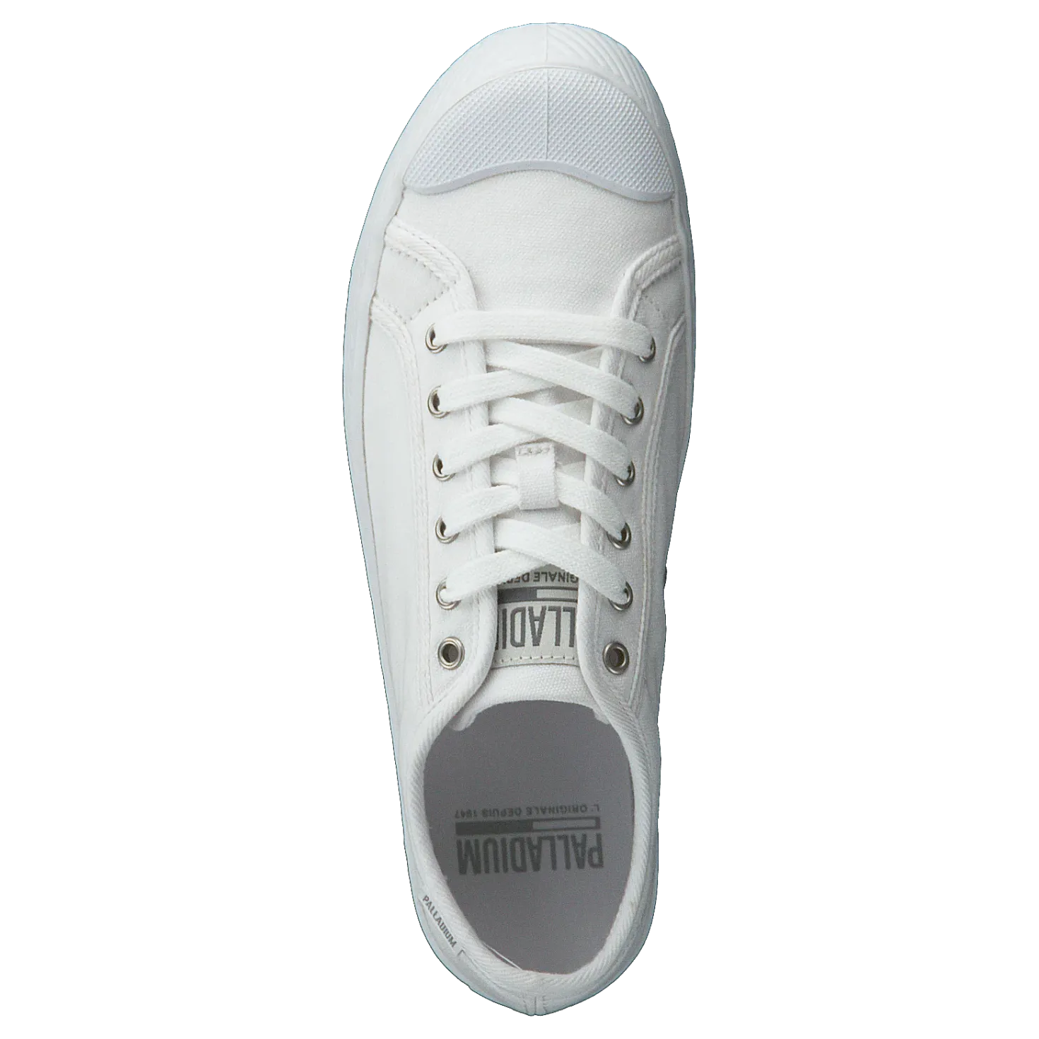 Pallaphoenix Og Cvs White