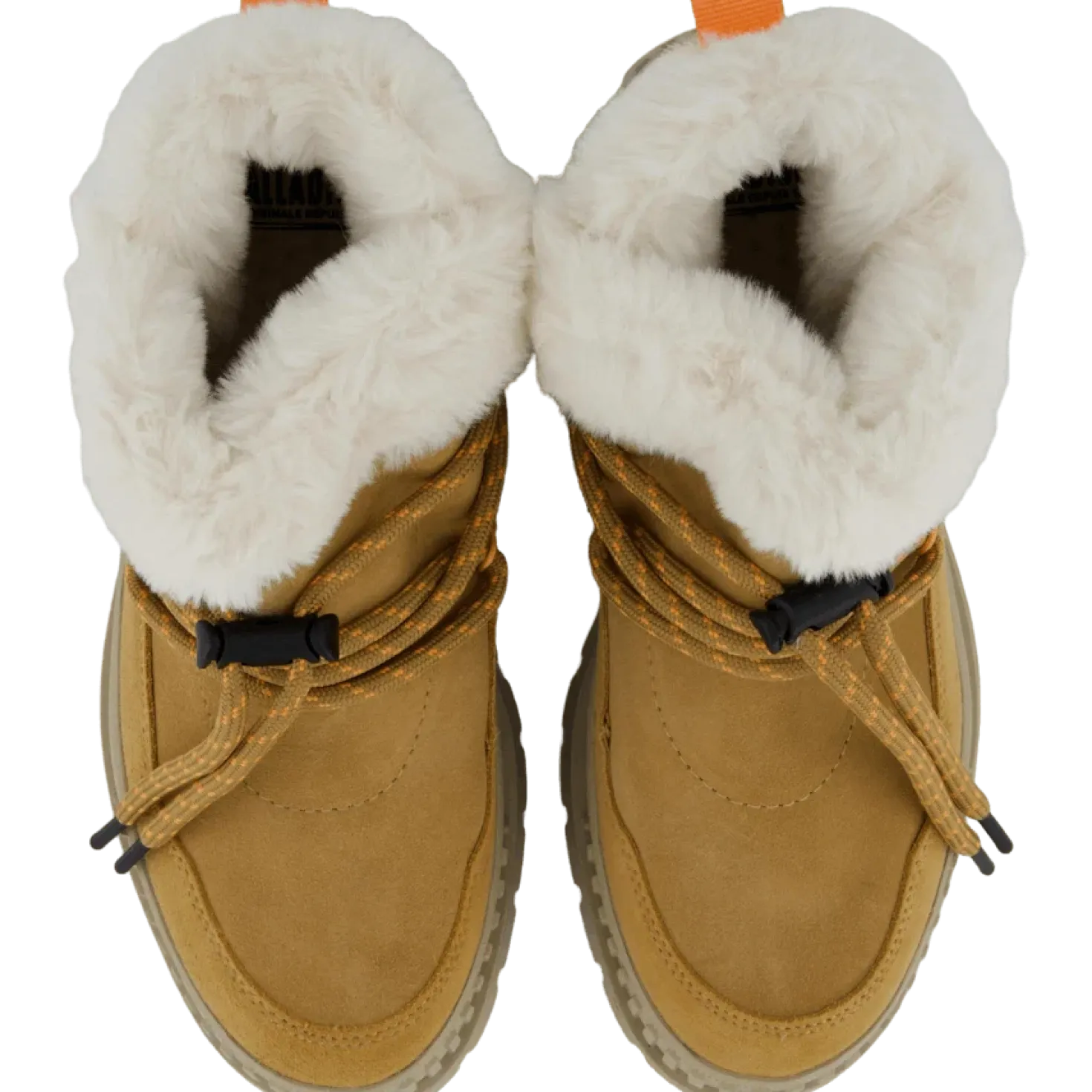 Pallashock Lo Hiver Irish Brown