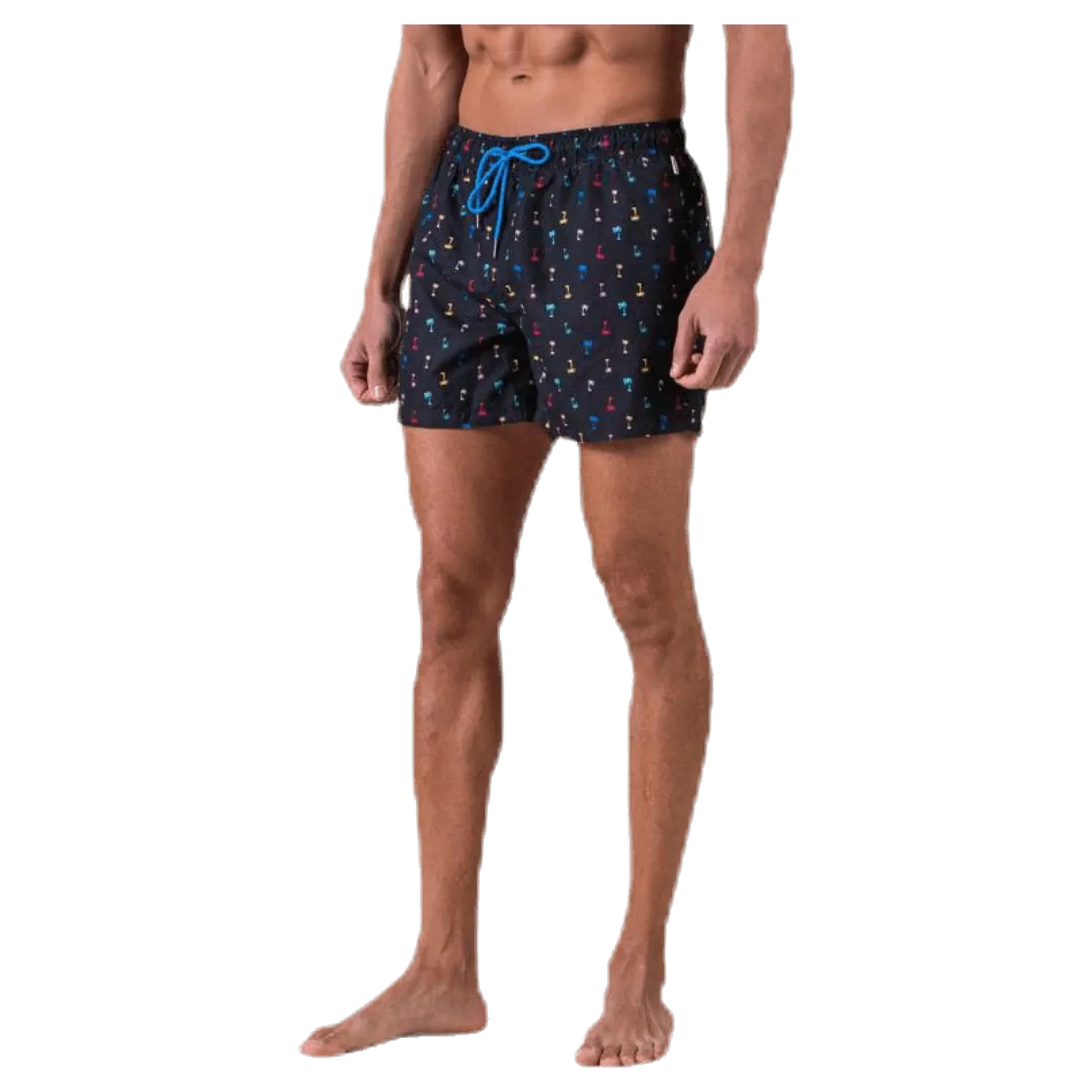 Palm Beach Swim Shorts Black