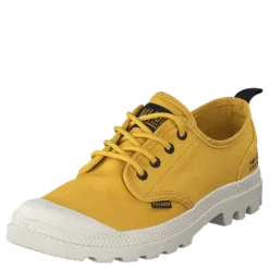 Pampa Ox Htg Supply Spicy Mustard