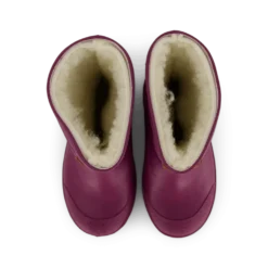 Pöl Wp Damson Plum