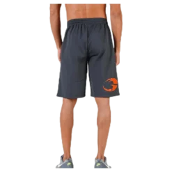 Pro mesh shorts Grey