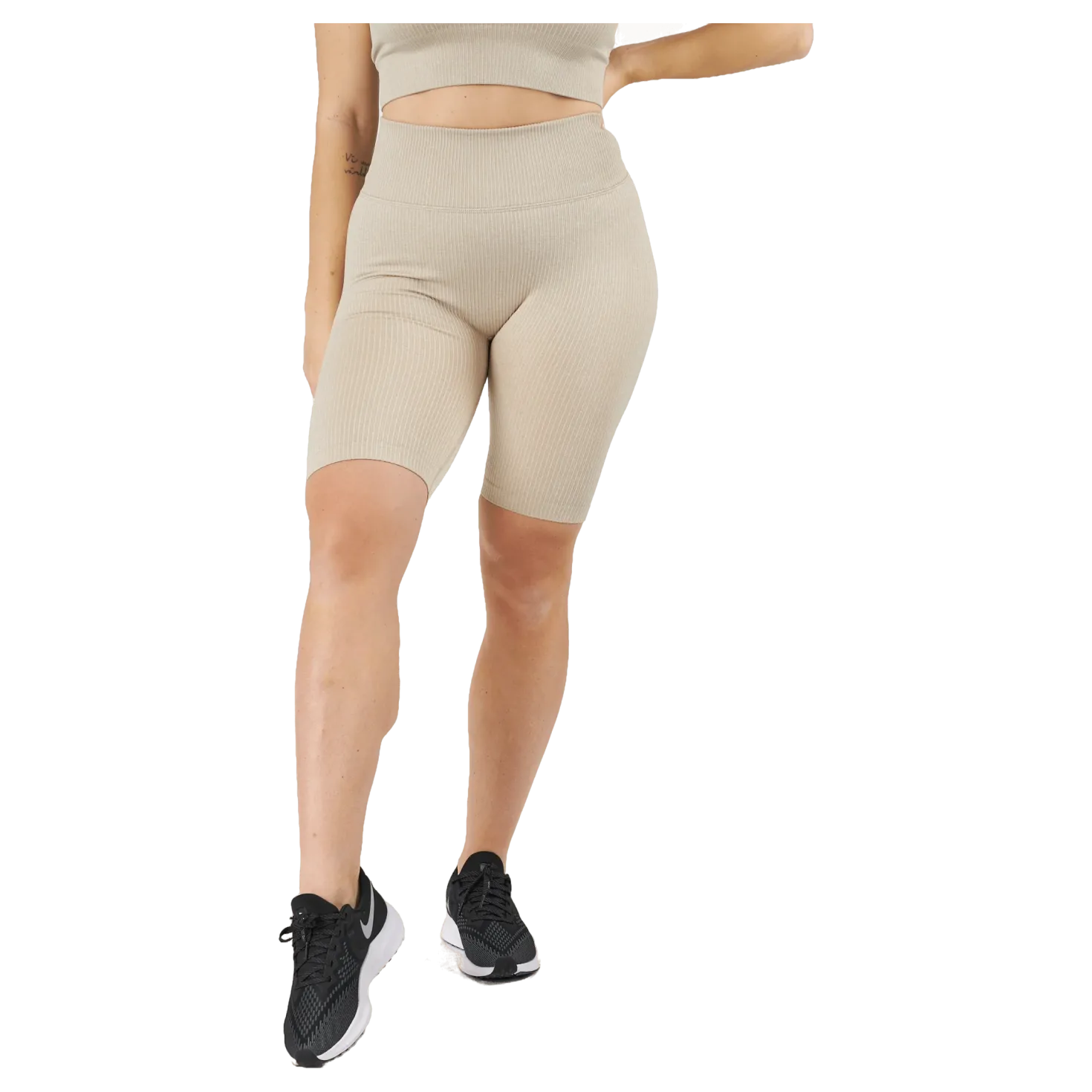Rib Seamless Bikers Mushroom