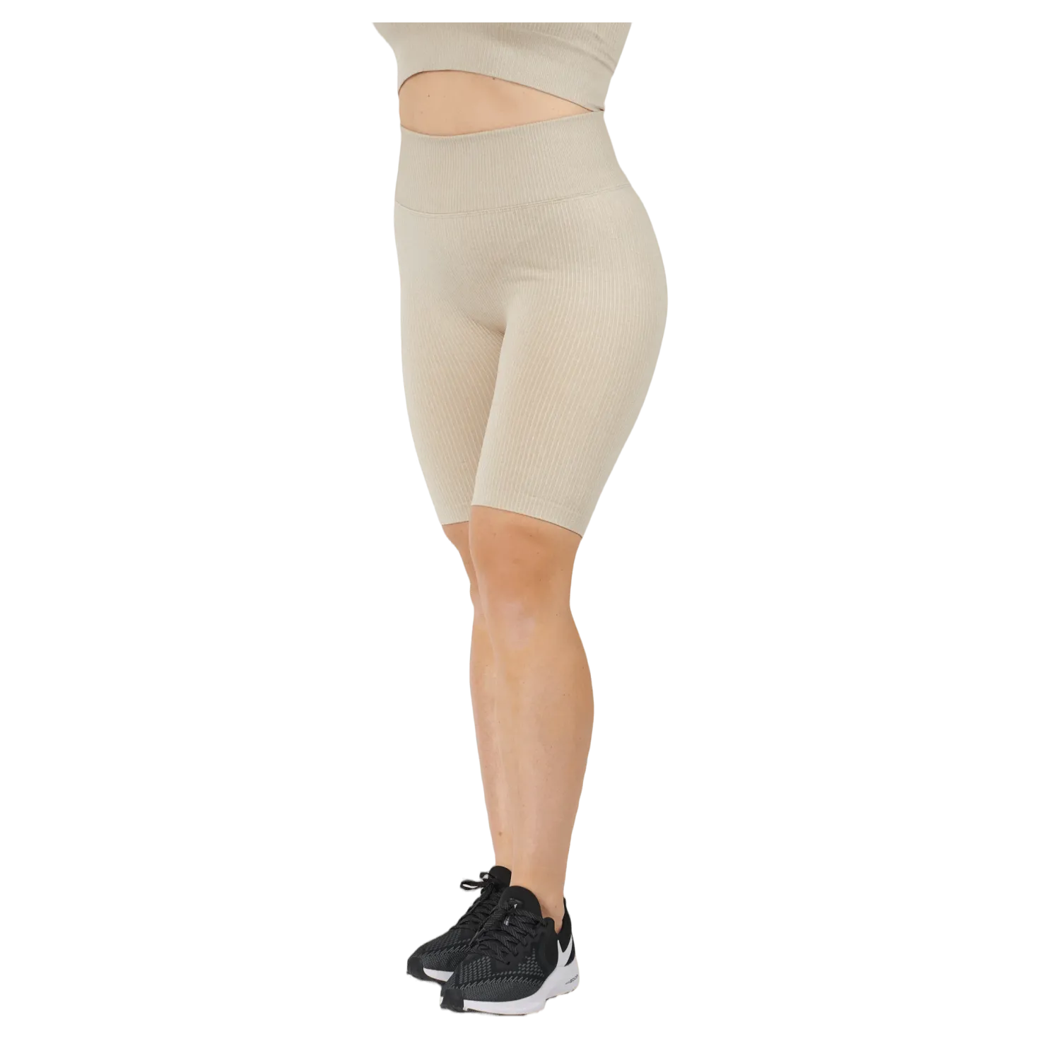 Rib Seamless Bikers Mushroom