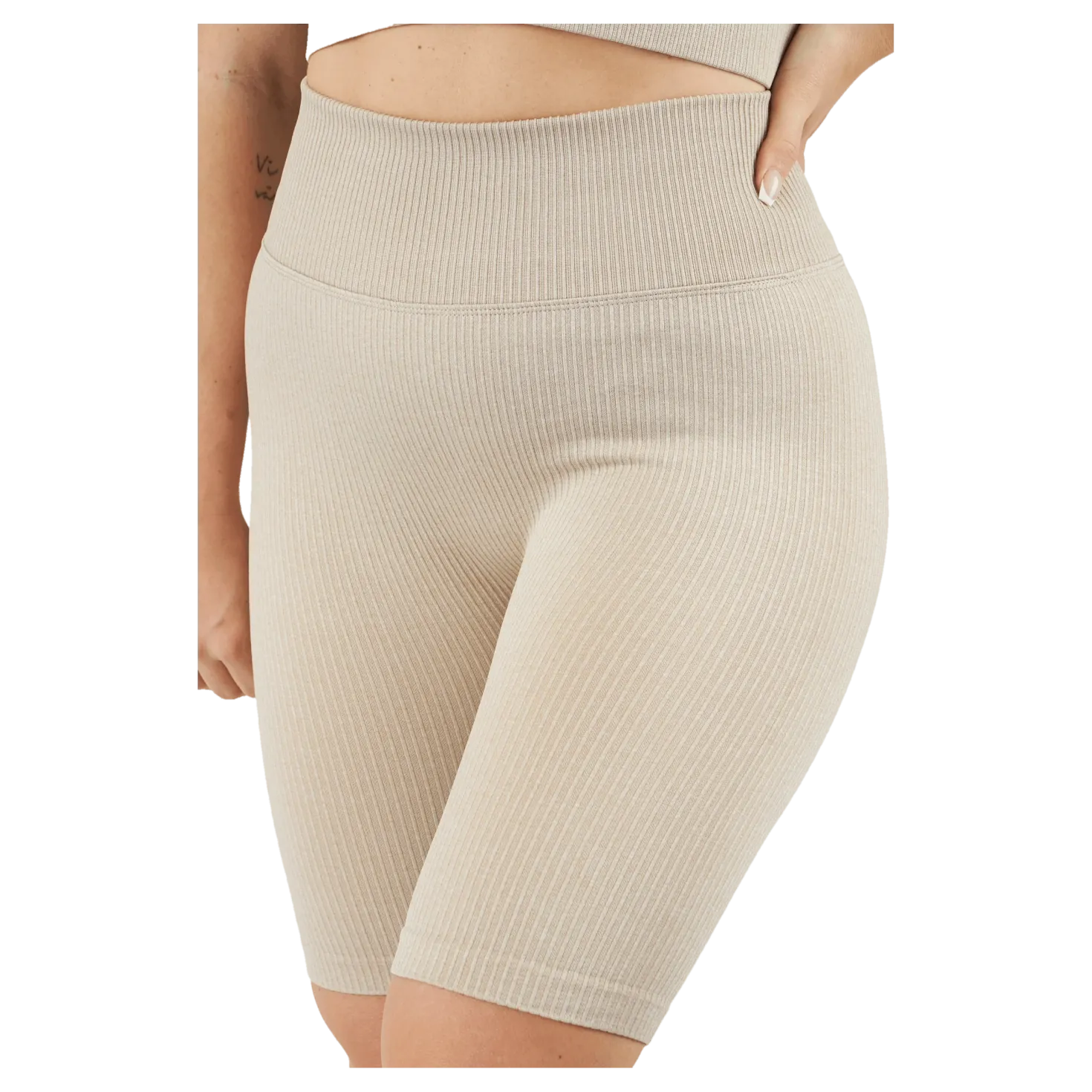 Rib Seamless Bikers Mushroom