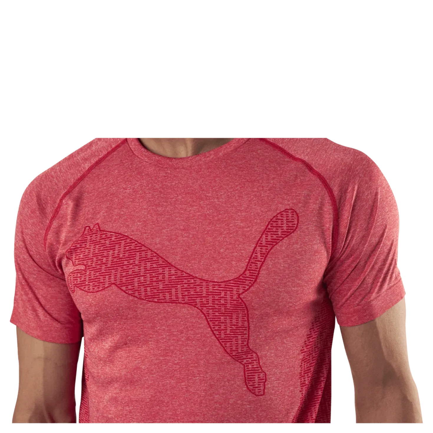 RTG Evoknit Tee Red