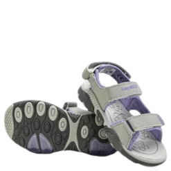Sandalshine Purple/Grey