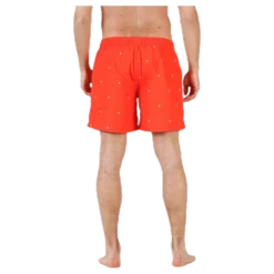 Scale Shorts Red