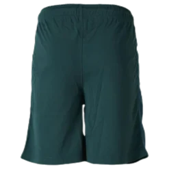 Shorts X-Cool Green