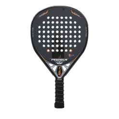 Siux Pegasus Revolution 3k