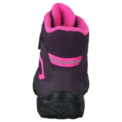 Snowcat Purple