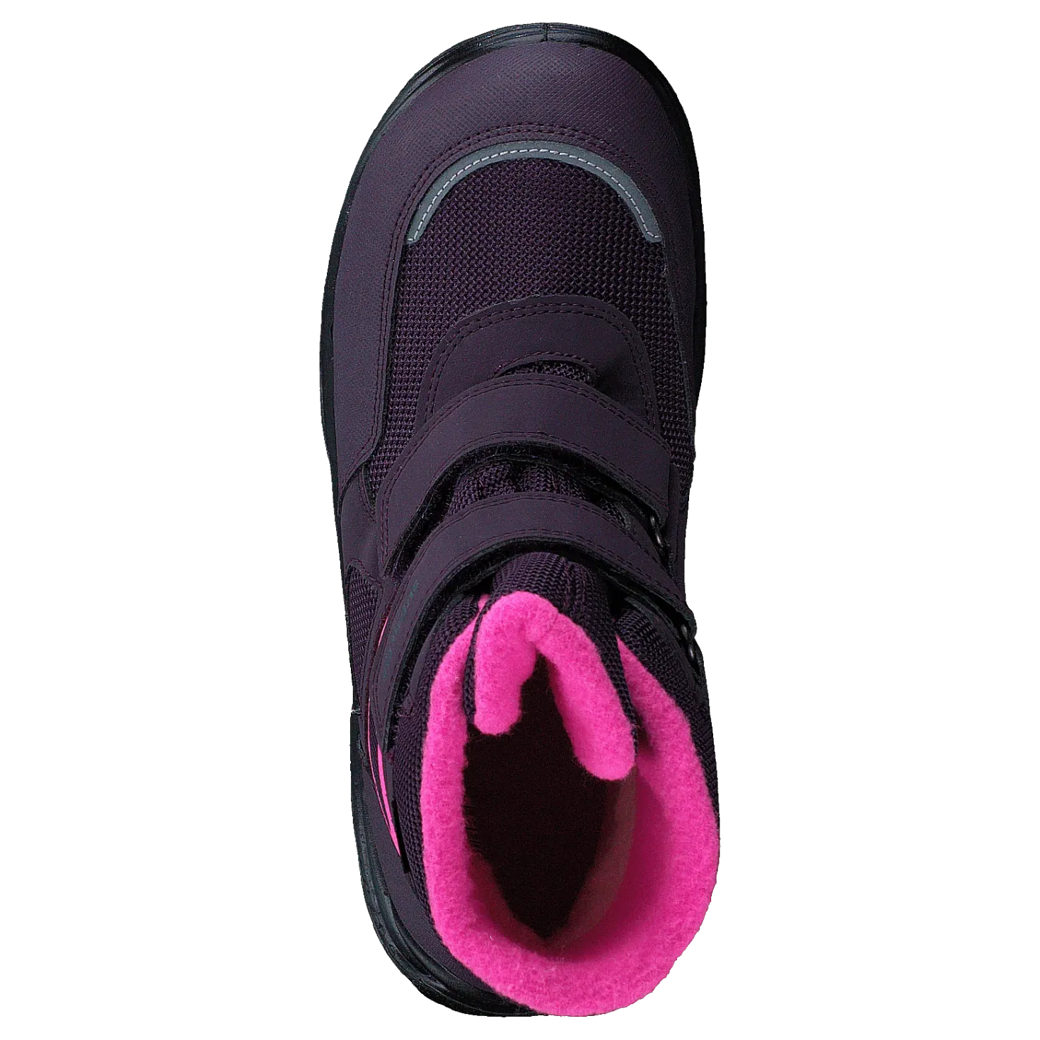 Snowcat Purple