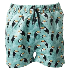 Solig Swim Shorts Green