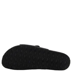 Spectra W Black