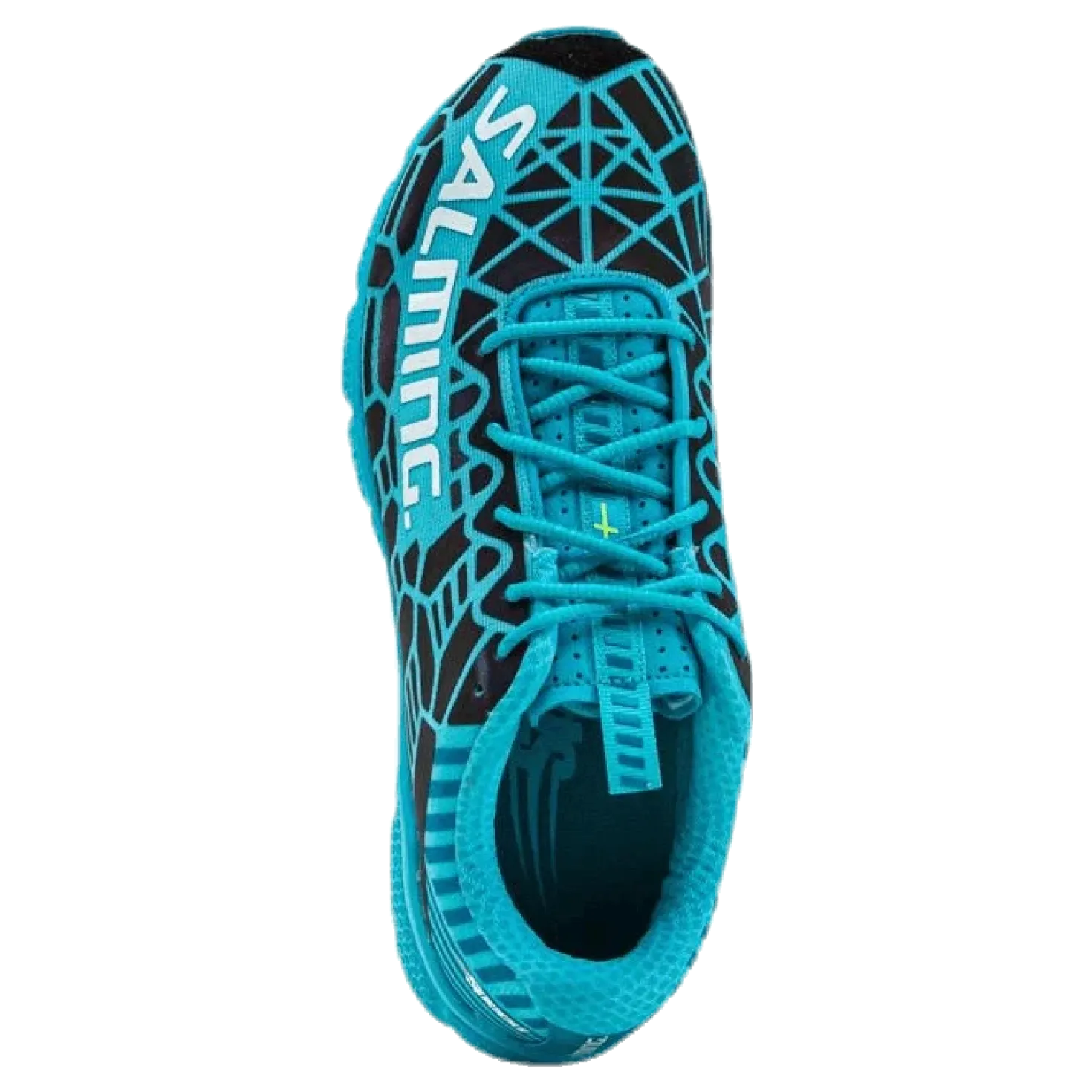 Speed 8 Blue/Grey