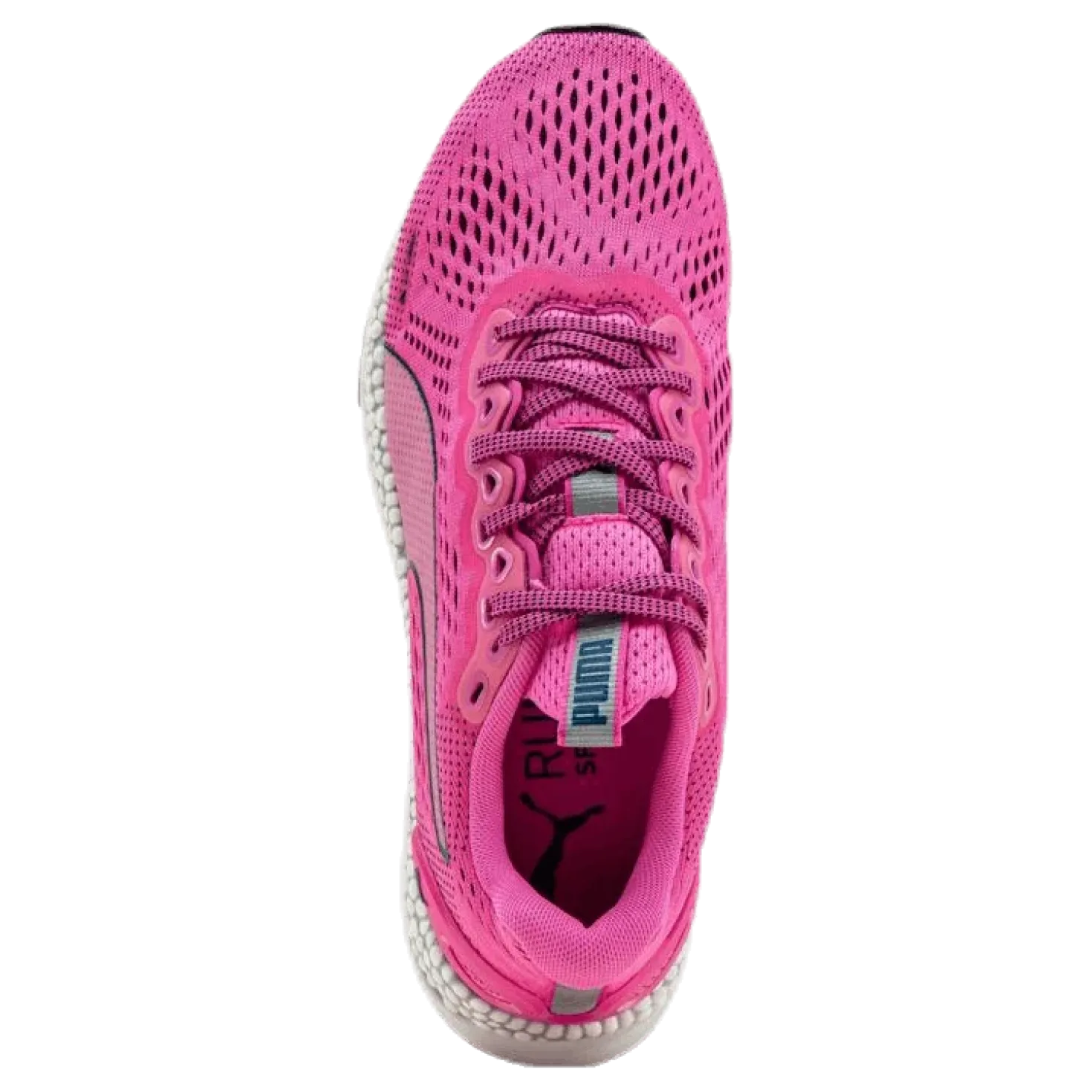 Speed 600 2 Pink/Blue