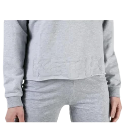 Sweat Hood, Logo Biba Grey