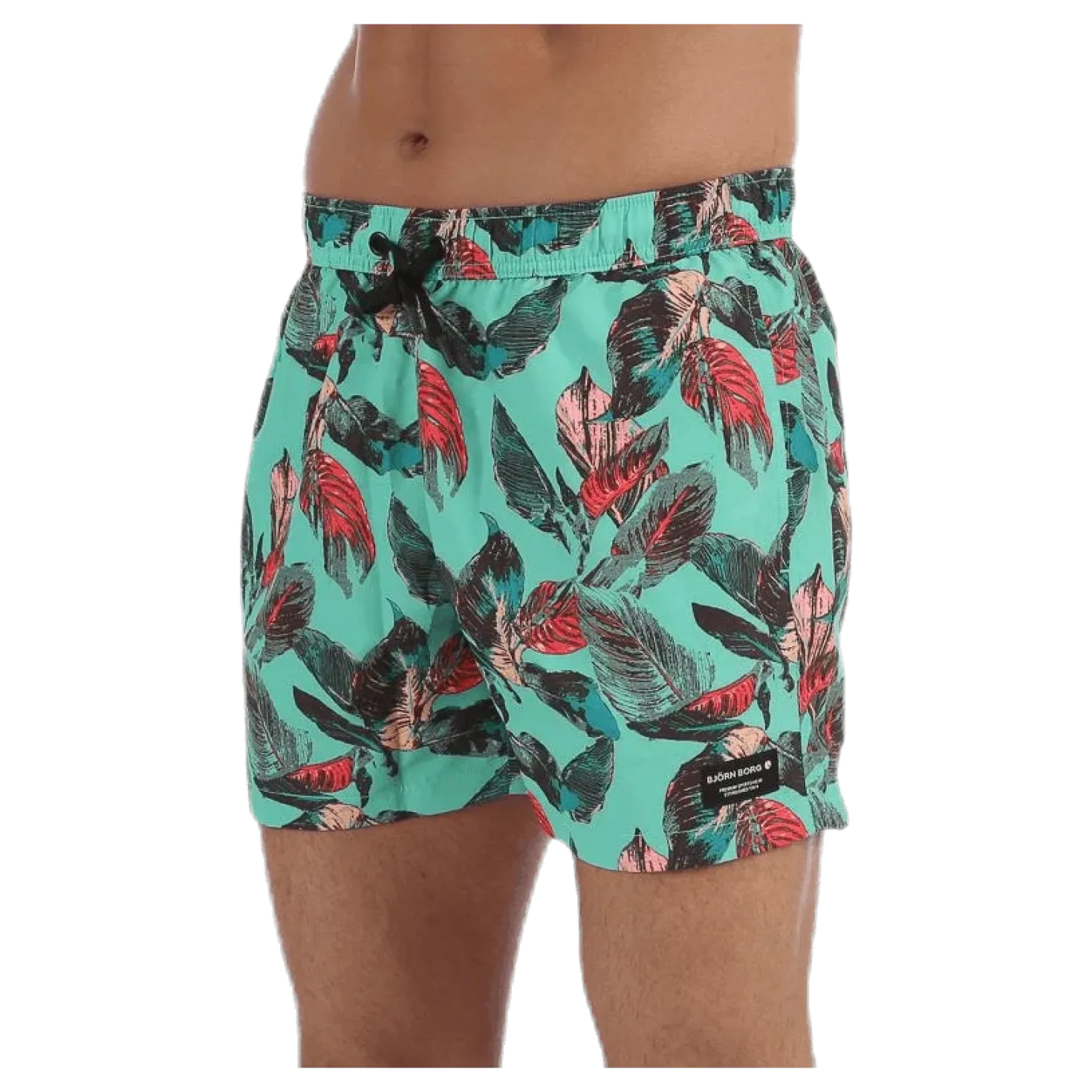 Sylvester Swimshorts Blue/Pink/Green