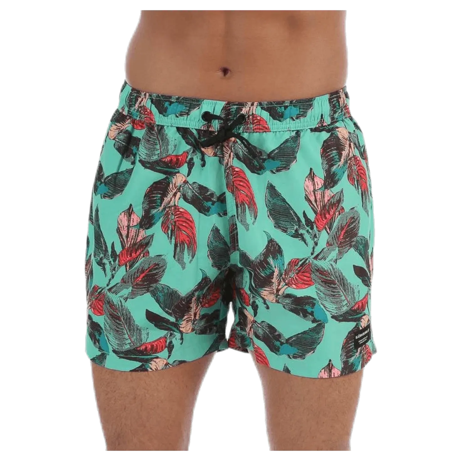 Sylvester Swimshorts Blue/Pink/Green