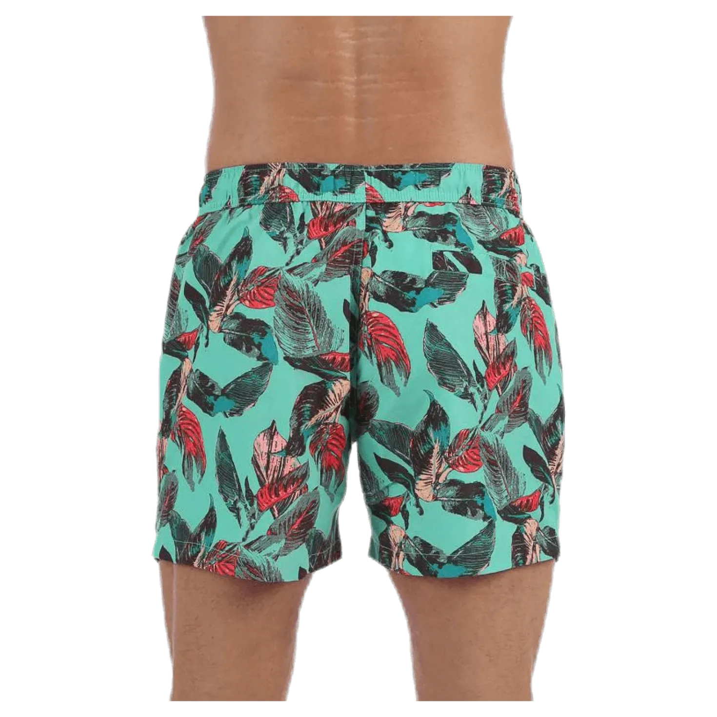 Sylvester Swimshorts Blue/Pink/Green