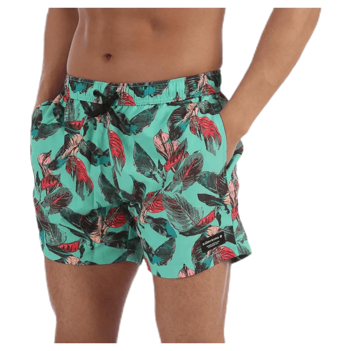 Sylvester Swimshorts Blue/Pink/Green