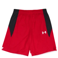 UA BASELINE 10'' SHORT