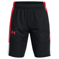 Ua Baseline Short Black
