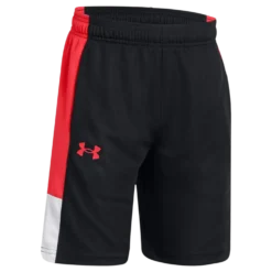 Ua Baseline Short Black
