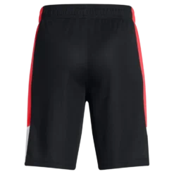 Ua Baseline Short Black