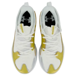 Ua Flow Futr X 3 White