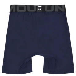 UA HeatGear Compression Shorts