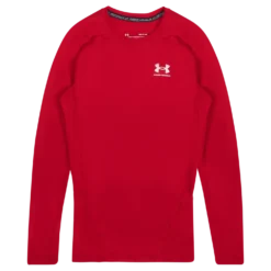 UA HG Armour Comp Ls