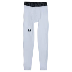 UA HG Armour Leggings