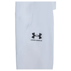 UA HG Armour Leggings